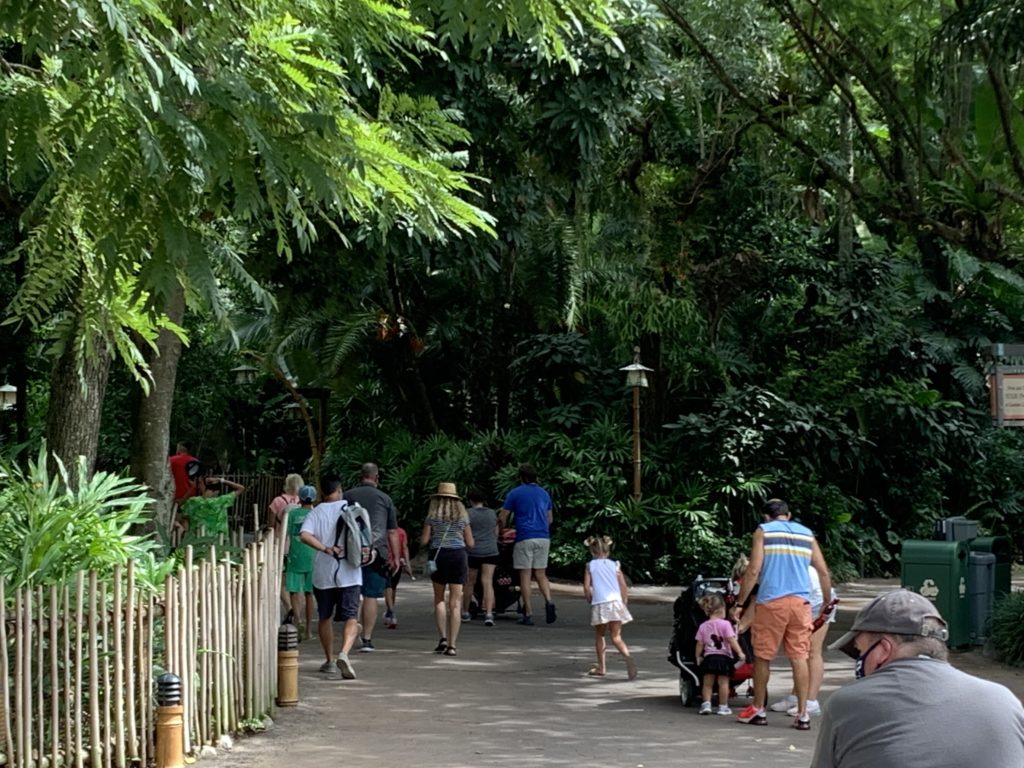 Ten Second Tip: Disney’s Animal Kingdom and Availability – Disney Over 50