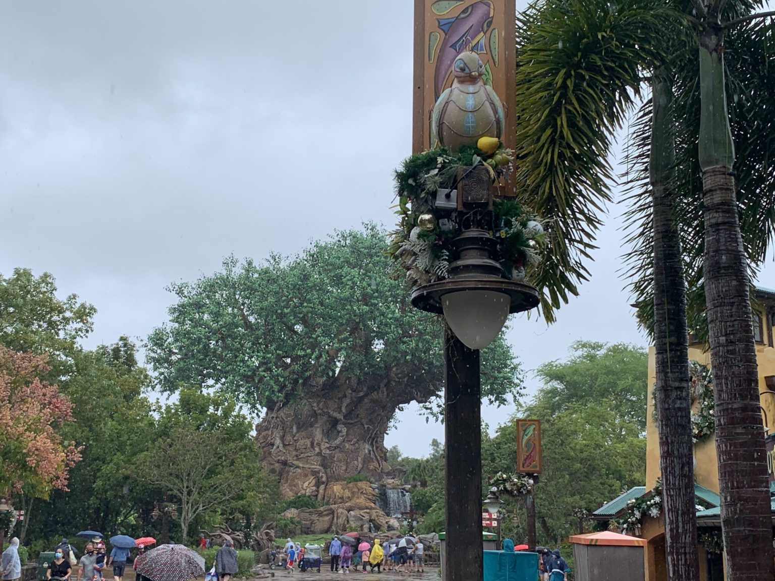 Changes for the Holidays at Disney’s Animal Kingdom – Disney Over 50