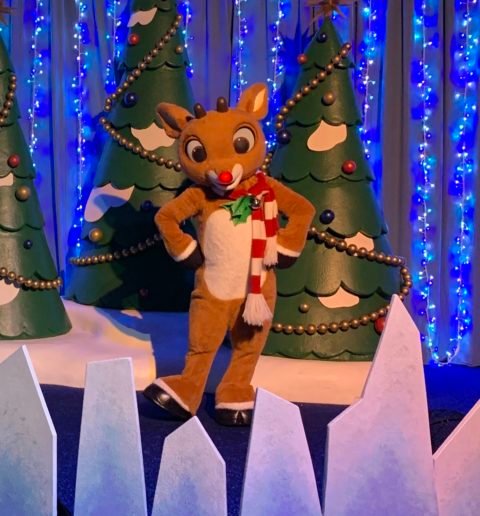 Ten Second Tip: Meet Rudolph - Disney Over 50