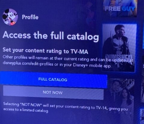 Ten Second Tip: Disney+ Settings - Disney Over 50