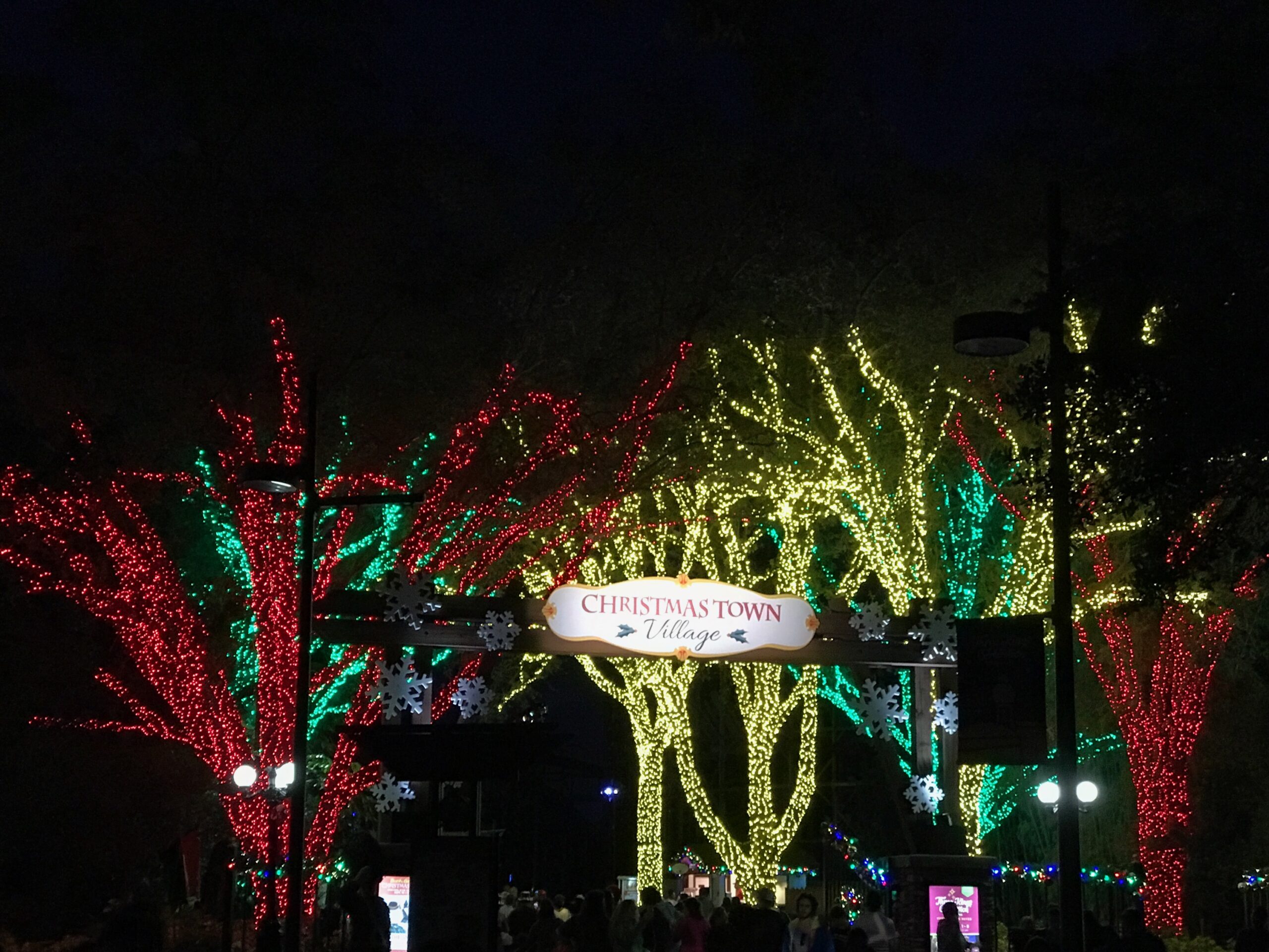 The 2022 Holidays Outside of Walt Disney World: Busch Gardens Tampa ...