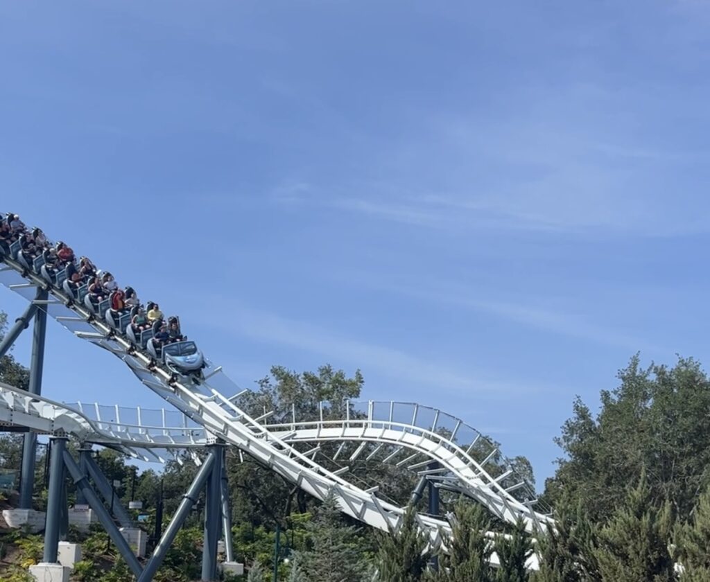 Celebrate National Roller Coaster Day at SeaWorld Orlando! Disney Over 50